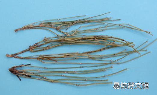 麻黄的功效与作用 美食力量舌尖上的中药美味文化