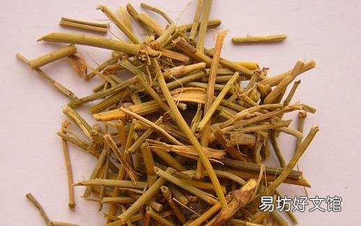 麻黄的功效与作用 美食力量舌尖上的中药美味文化