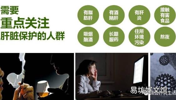 常喝枸杞中药茶饮 受损肝脏逐渐变干净
