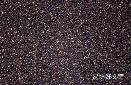 黑芝麻是滋补圣药养肝生黑发 如此神奇你确定不吃吗