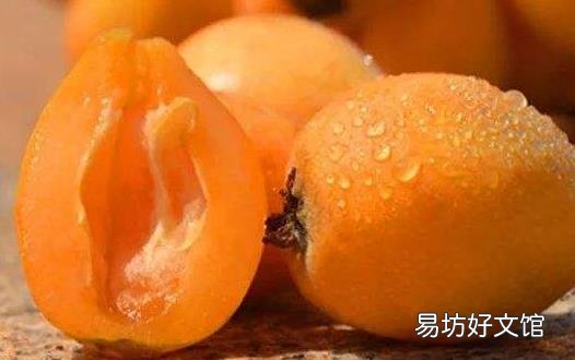 夏天的当令水果枇杷 中药师推荐枇杷的吃法
