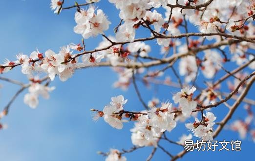 春天养肝护肝最好的季节 要想养肝避免这种伤肝行为