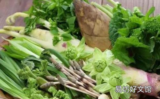 春天养肝护肝最好的季节 要想养肝避免这种伤肝行为