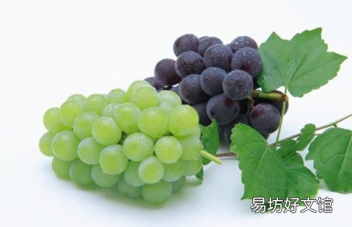 葡萄被誉为水果中的溶栓之王 不同品种功效大不相同