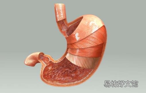 胃癌对身体造成的危害 胃癌病人手术后饮食注意事项