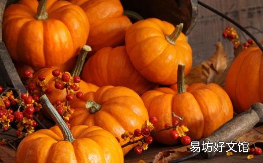 南瓜的营养价值 南瓜粥适合脾胃虚弱营养不良的人