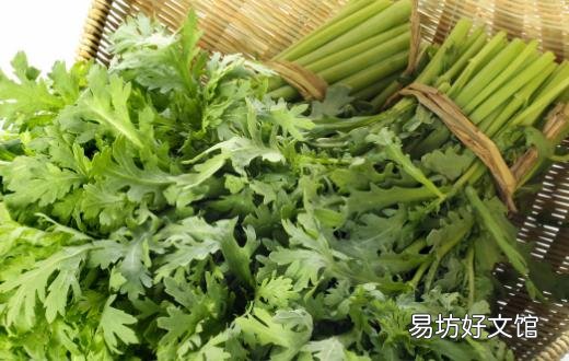 茼蒿素有皇帝菜的美誉 茼蒿的营养价值