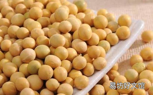 黄豆为豆制品的鼻祖 吃黄豆的八大好处