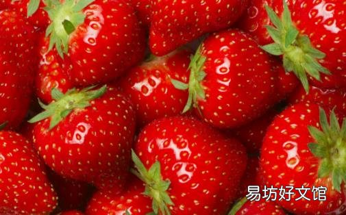 草莓含丰富胡萝卜素明目养肝 采摘草莓必备的小诀窍