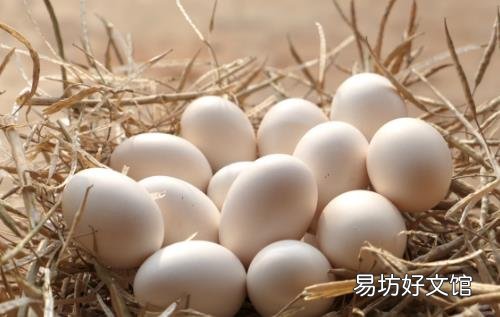 早餐吃鸡蛋的益处多多 鸡蛋最营养的烹饪方法