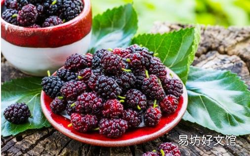 平时喝黑桑葚汁好处多多 桑葚的实用偏方你知道多少