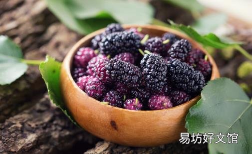 平时喝黑桑葚汁好处多多 桑葚的实用偏方你知道多少