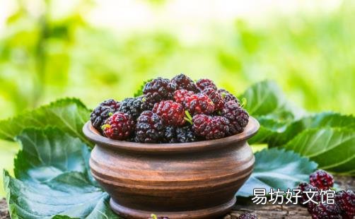 平时喝黑桑葚汁好处多多 桑葚的实用偏方你知道多少