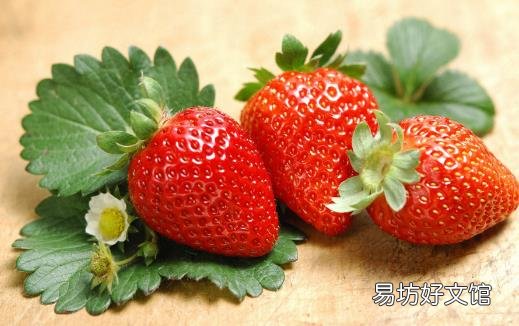 通过食物达到补钙目的 这10种食物含钙量惊人