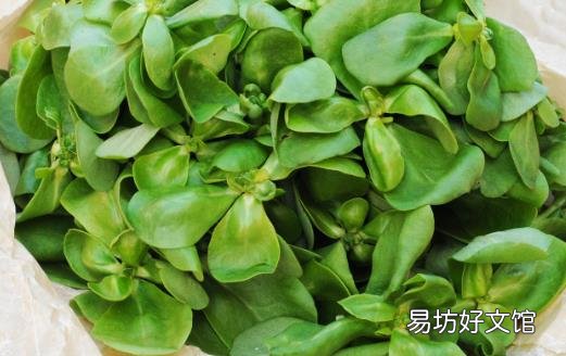 湿气太重皮肤油腻 10种有强效祛湿功效的食物
