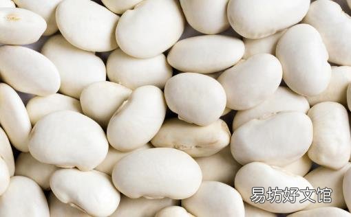 湿气太重皮肤油腻 10种有强效祛湿功效的食物