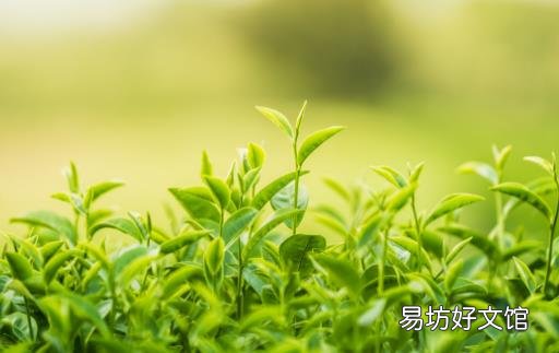 一口皓齿是人们对美的追求 草莓是天然美白牙齿水果