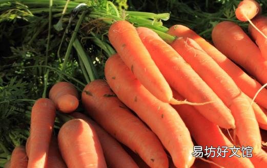 夏日控糖八个要素要知道 糖尿病人应多吃的控糖菜