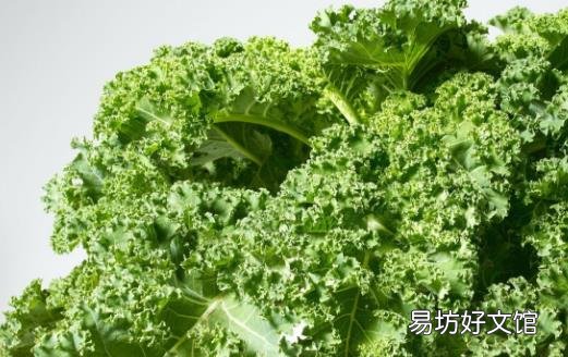 食物能够提供丰富的营养 揭秘十种餐桌上食物良药
