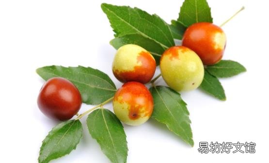 冬枣是凉性还是温性的 常吃可补充微量元素解酒保肝
