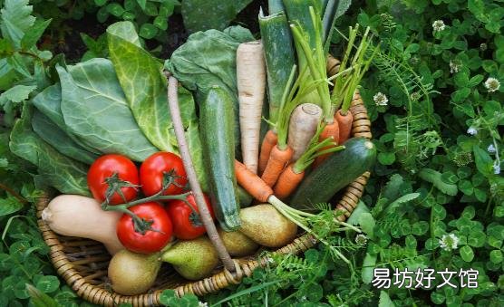 蔬果不应只是餐桌上的配角 每天吃足量蔬果有助防慢病