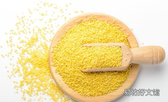 小米堪称最廉价的养生食材 常吃它治口臭健脾和胃