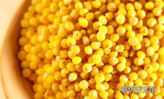 小米堪称最廉价的养生食材 常吃它治口臭健脾和胃