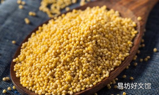 小米堪称最廉价的养生食材 常吃它治口臭健脾和胃