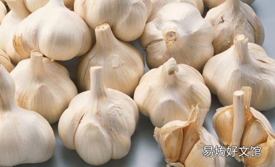 蔬菜清理血管垃圾 食疗调理效果最佳