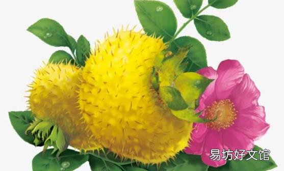 刺梨有维生素C之王的称号 食用刺梨的八种好处