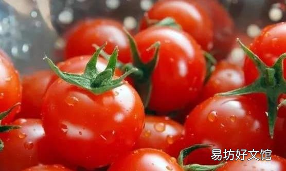 经常吃番茄对身体有4个好处 空腹吃番茄易引起腹痛