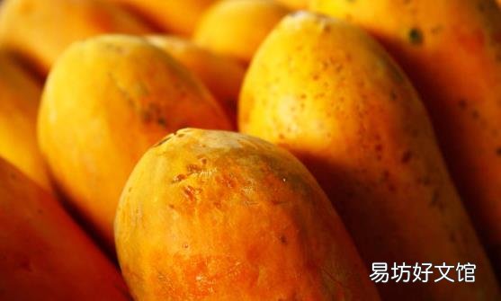 木瓜丰胸通乳缓解体虚 木瓜的做法大全