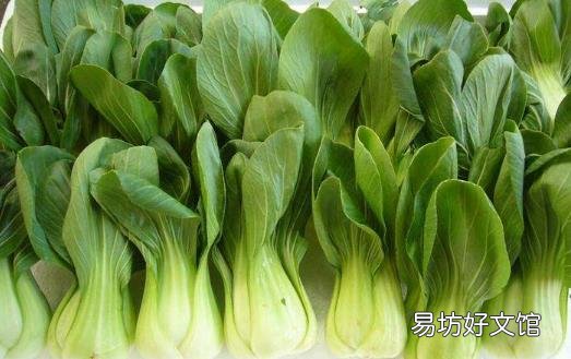 吃错蔬菜等于吃垃圾 吃蔬菜也要讲究方法