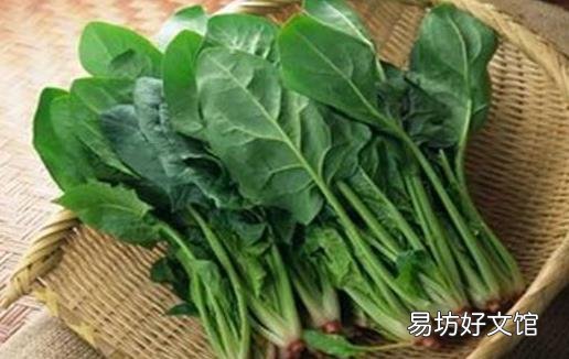 十个食物营养搭配组合 常见食物搭配禁忌