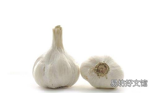 古人都吃这些食物保健康!