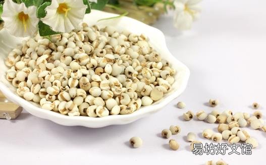 薏米吃对了除湿益气 试试这几个薏米的食疗方
