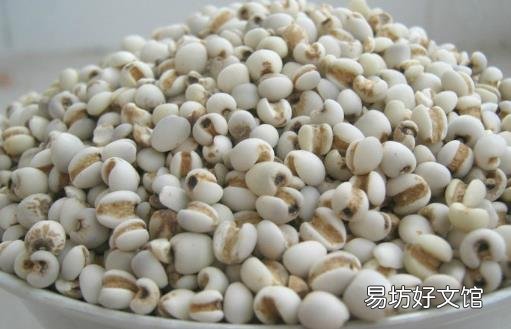 薏米吃对了除湿益气 试试这几个薏米的食疗方