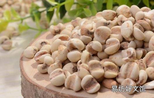 薏米吃对了除湿益气 试试这几个薏米的食疗方