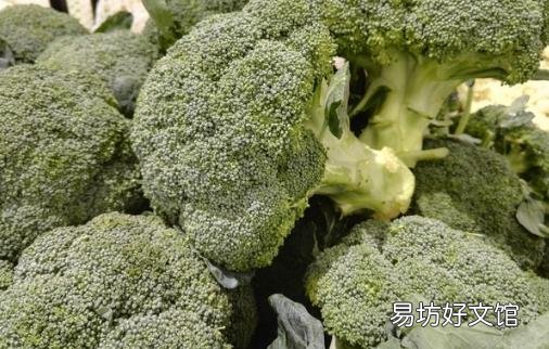 春季养肝正当时 学做7款养肝食谱