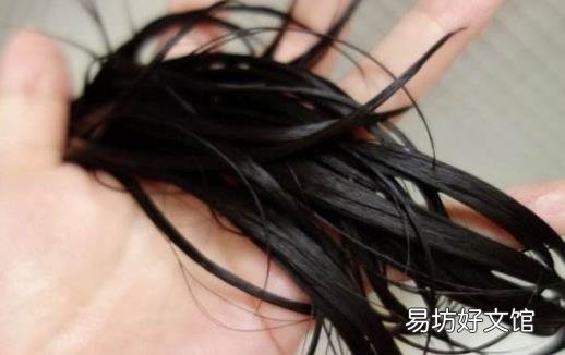 让头发长得快一些的食补方法 增加头发营养妙招