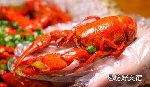 小龙虾好吃也要注意防病 小龙虾的功效与作用分析