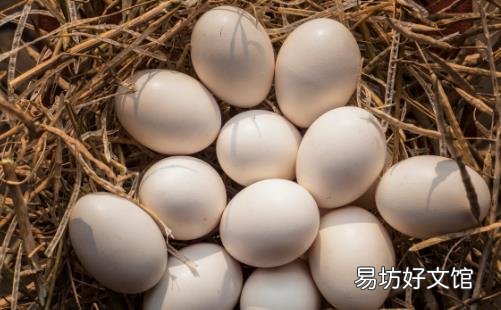 给你早餐吃鸡蛋的理由 看后你一定会爱上吃鸡蛋
