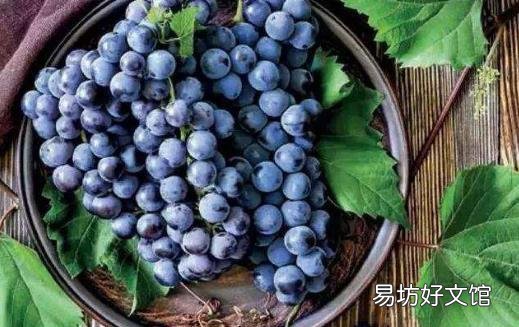 正确的选择水果 能起到防病治病的功效