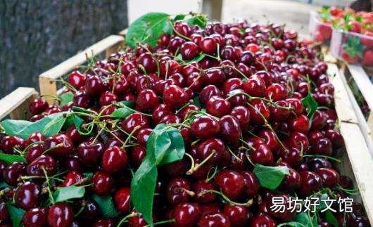 有美白作用的9种食物 不同身体部位的美白食物推荐
