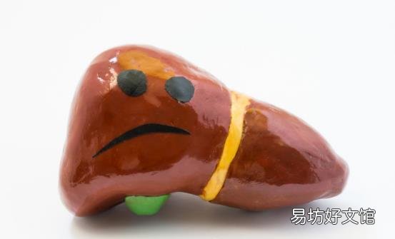 胖胖们易导致身体出现脂肪肝 4种食物轻松为肝瘦身
