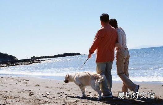 散步的技巧有哪些?散步的好处