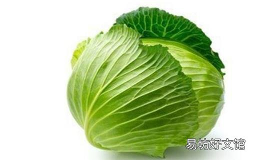 减肥蔬菜十大排行榜 吃对了减肥效果会更快