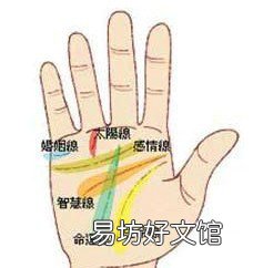 手相图解:手掌上三大纹路、八大丘和五大线纹
