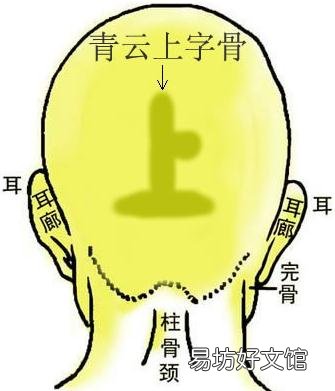 骨相圖解：青云上字骨