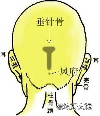 骨相图解:垂针骨